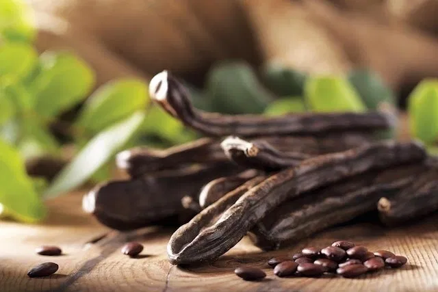 ALFARROBA : Um Fruto, Mil histórias ... 